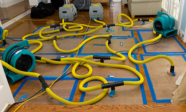 Professional Basement Flood Cleanup technician working in Dresden, TN